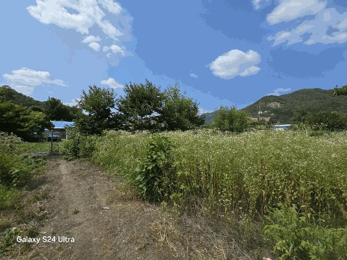 2025타경804 법원경매 사진2 | 전주 완산구 대지 경매