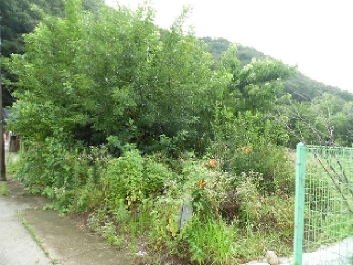 2025타경804 법원경매 사진8 | 전주 완산구 대지 경매