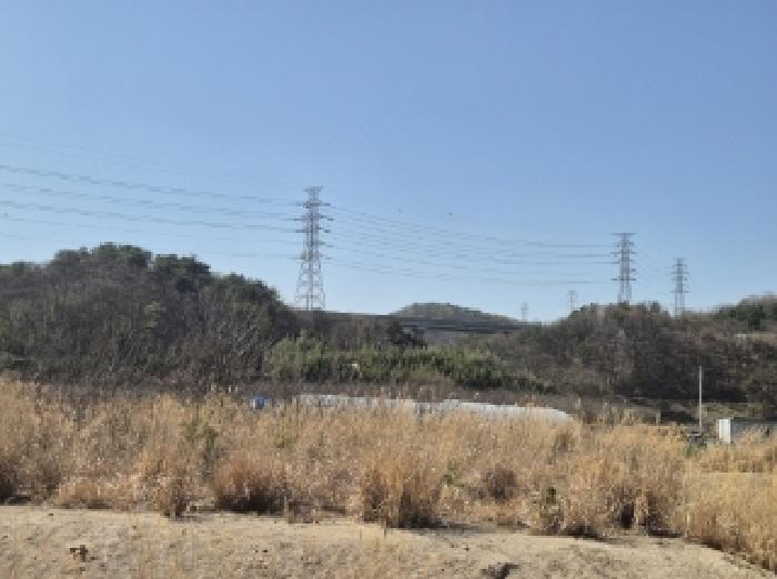 2025타경300 법원경매 사진5 | 포항 남구 임야 경매