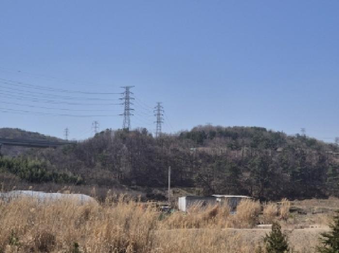 2025타경300 법원경매 사진6 | 포항 남구 임야 경매