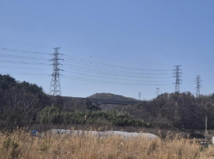 2025타경300 법원경매 사진7 | 포항 남구 임야 경매