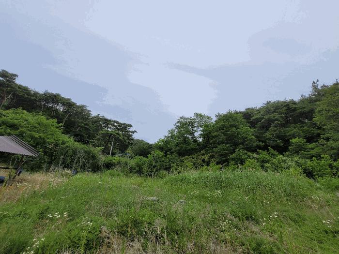 경상북도 포항시 남구 오천읍 문덕리 산156-80 법원경매 물건 대표사진