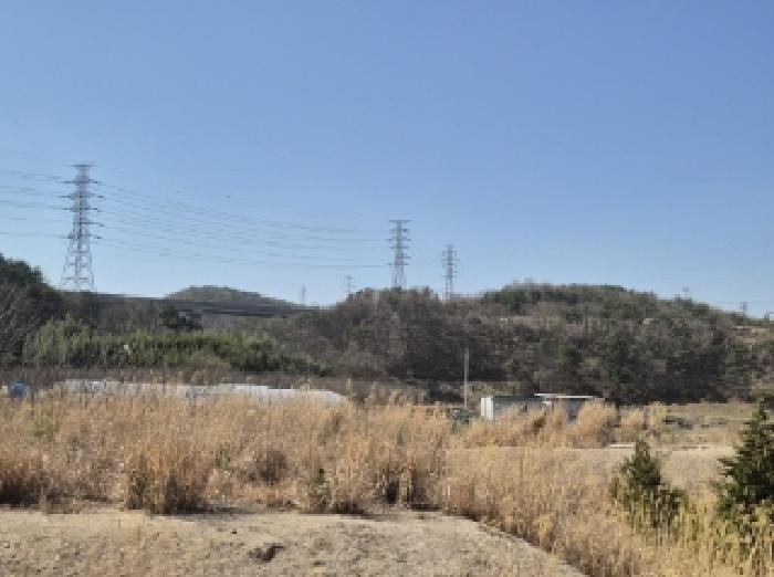 법원경매 2025타경300 사진4 | 포항시 남구 오천읍 문덕리 임야 경매