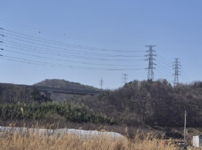 법원경매 2025타경300 사진8 | 포항시 남구 오천읍 문덕리 임야 경매