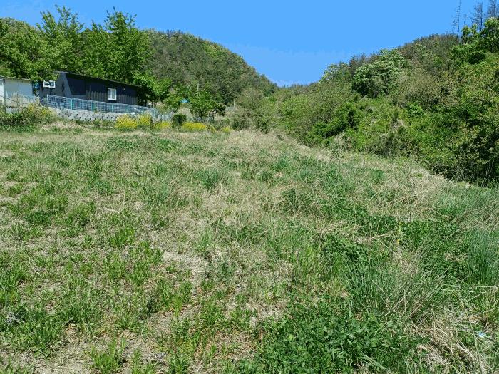법원경매 2025타경335 사진6 | 포항시 남구 동해면 상정리 296 답 경매