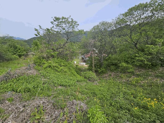 2025타경105 법원경매 사진3 | 충북 제천시 임야 경매