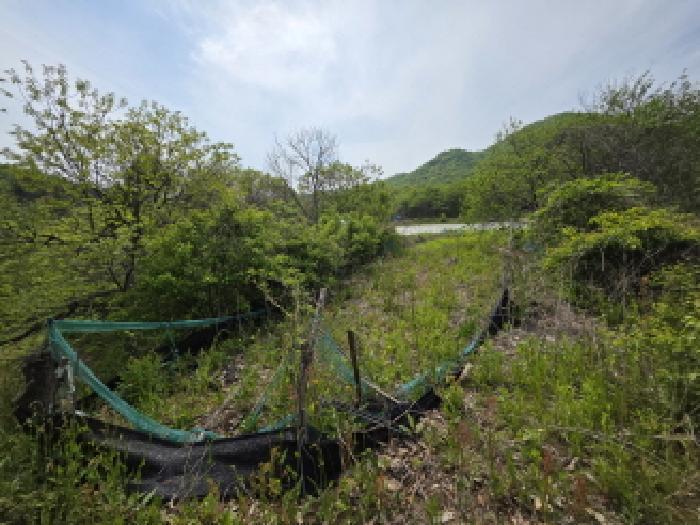 2025타경105 법원경매 사진9 | 충북 제천시 임야 경매