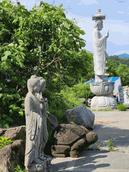 법원경매 2025타경107 사진6 | 제천시 백운면 원월리 293-14 주유소 경매