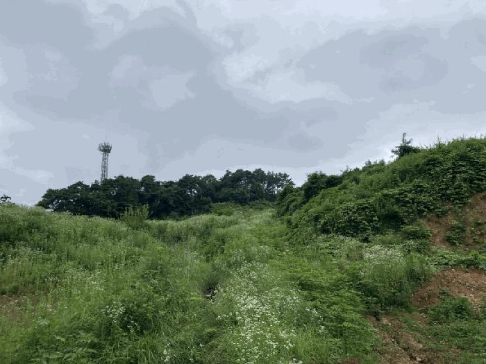 2025타경115 법원경매 사진2 | 충북 제천시 임야 경매
