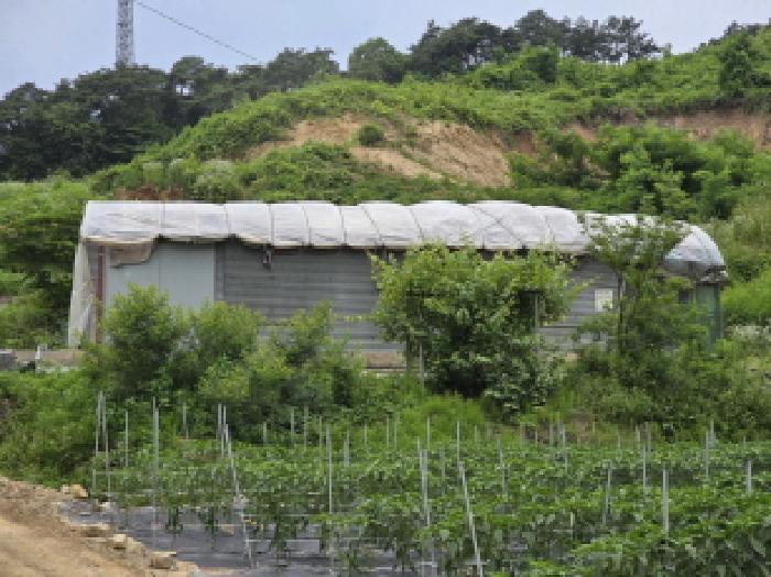 2025타경115 법원경매 사진9 | 충북 제천시 임야 경매
