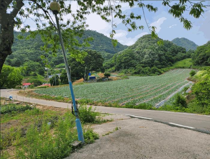 2025타경119 법원경매 사진3 | 충북 단양군 전 경매