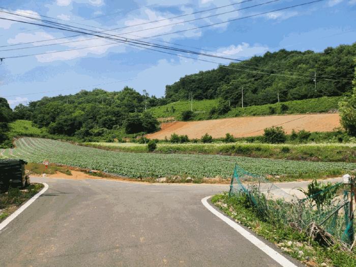 2025타경119 법원경매 사진4 | 충북 단양군 전 경매