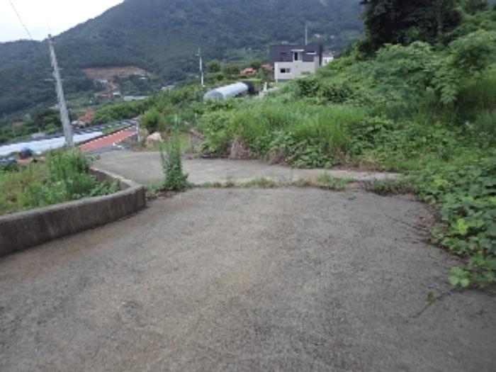 법원경매 2024타경1243 사진19 | 밀양시 산외면 엄광리 377 임야 경매