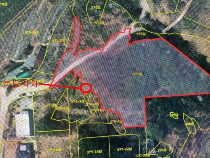 법원경매 2024타경1243 사진9 | 밀양시 산외면 엄광리 377 임야 경매