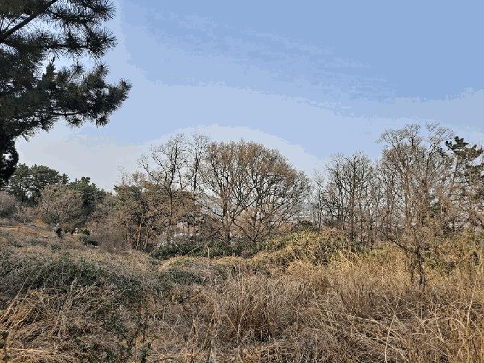 경상북도 포항시 남구 연일읍 중명리 810 법원경매 물건 대표사진