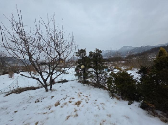2025타경5259 법원경매 사진15 | 충북 제천시 임야 경매