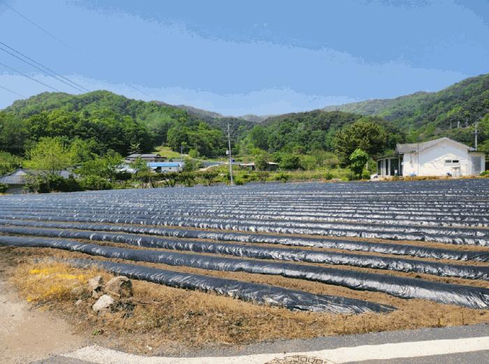 충청북도 제천시 금성면 사곡리 286 법원경매 물건 대표사진