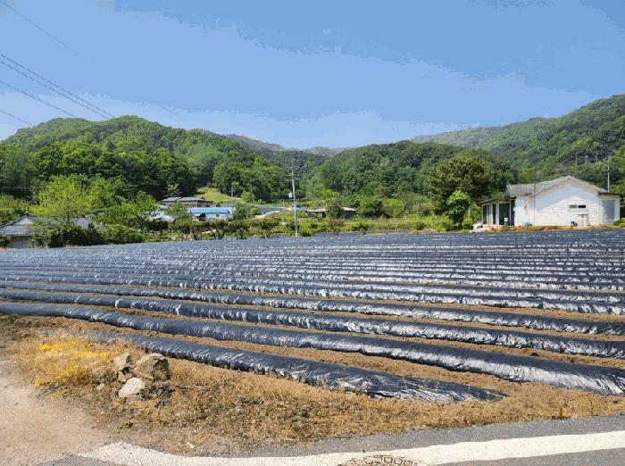2025타경5311 법원경매 사진9 | 충북 제천시 전 경매