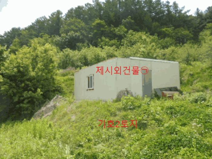 충청북도 단양군 대강면 신구리 62-1 법원경매 물건 대표사진