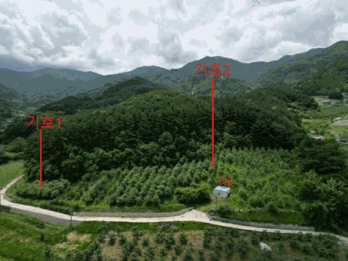 2025타경5317 법원경매 사진12 | 충북 단양군 전 경매