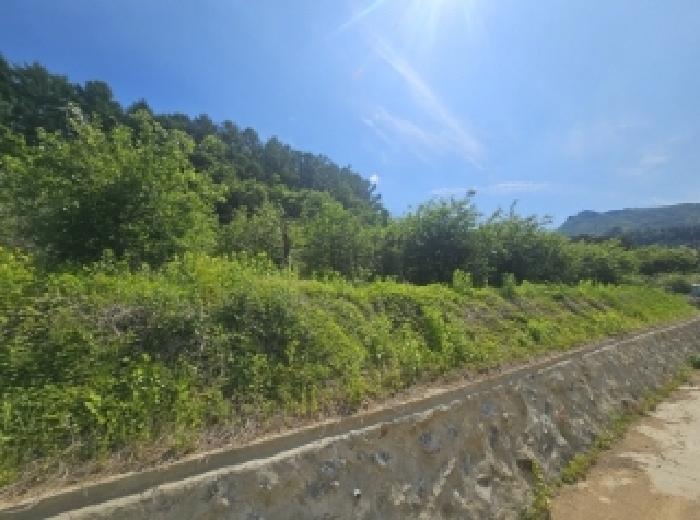 2025타경5317 법원경매 사진19 | 충북 단양군 전 경매