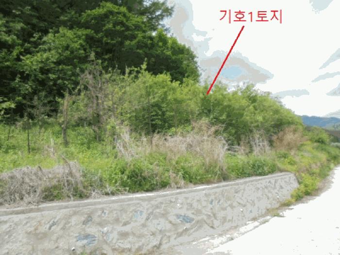 2025타경5317 법원경매 사진4 | 충북 단양군 전 경매