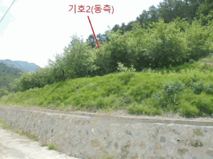 2025타경5317 법원경매 사진5 | 충북 단양군 전 경매