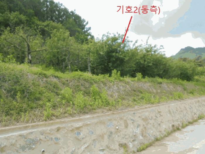 2025타경5317 법원경매 사진9 | 충북 단양군 전 경매