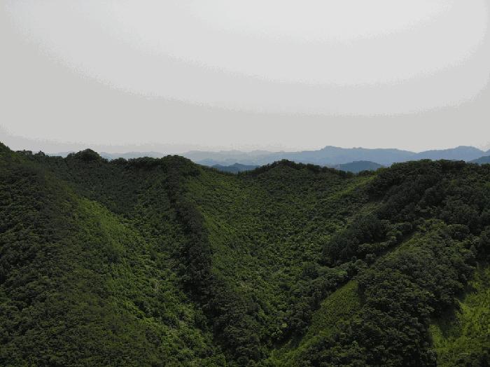 충청북도 단양군 영춘면 만종리 산101 법원경매 물건 대표사진