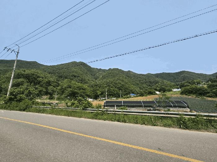2025타경5331 법원경매 사진8 | 충북 단양군 임야 경매