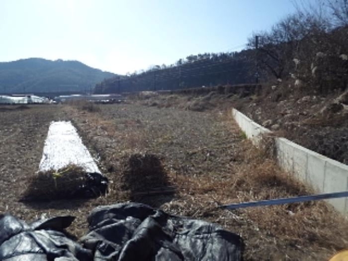 2024타경3027 법원경매 사진5 | 경남 밀양시 전답 경매