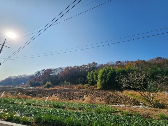 2024타경27545 법원경매 사진7 | 전북 군산시 임야 경매