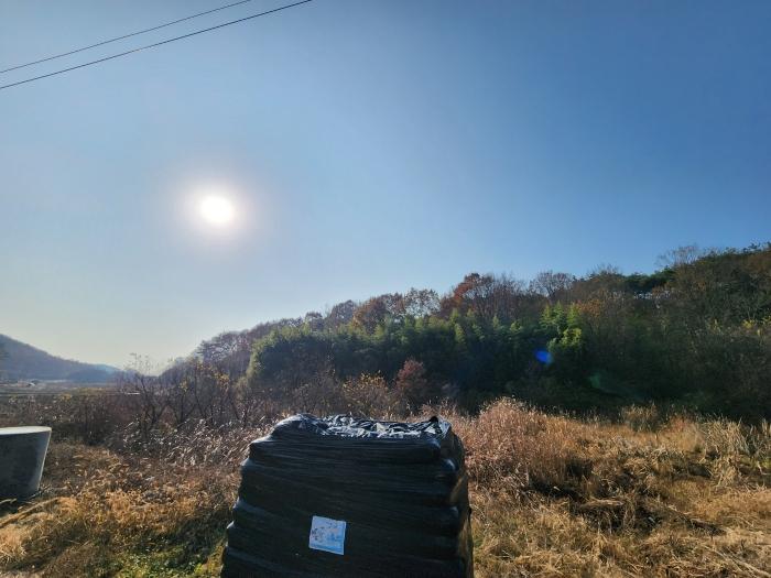 2024타경27545 법원경매 사진8 | 전북 군산시 임야 경매