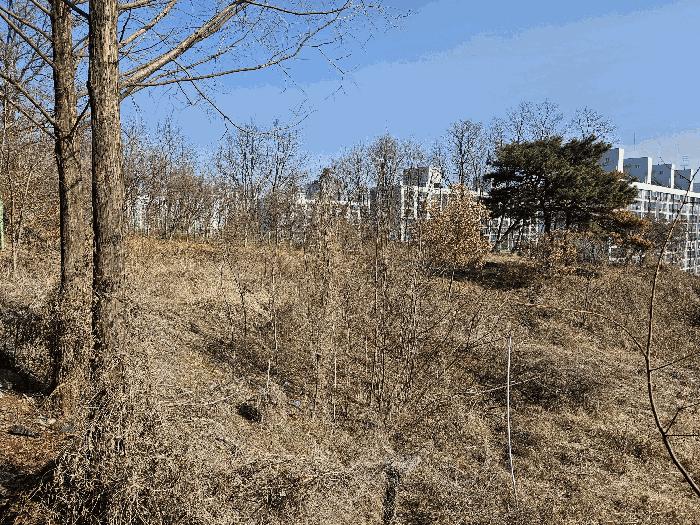 대전광역시 유성구 송강동 271-3 법원경매 물건 대표사진