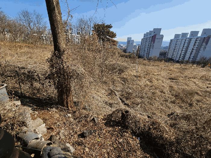 2025타경426 법원경매 사진16 | 대전 유성구 대지,임야,전답 경매
