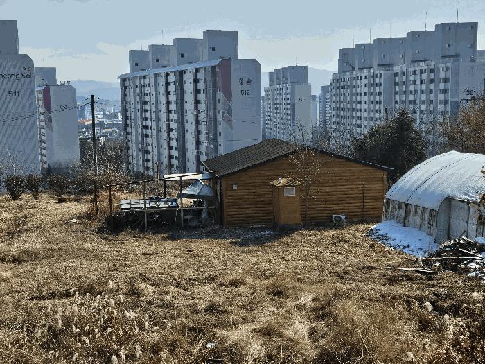 2025타경426 법원경매 사진4 | 대전 유성구 대지,임야,전답 경매