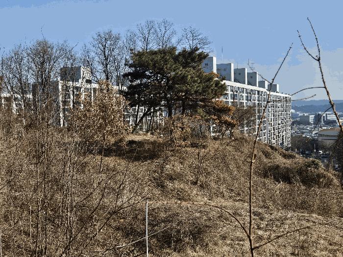 2025타경426 법원경매 사진6 | 대전 유성구 대지,임야,전답 경매