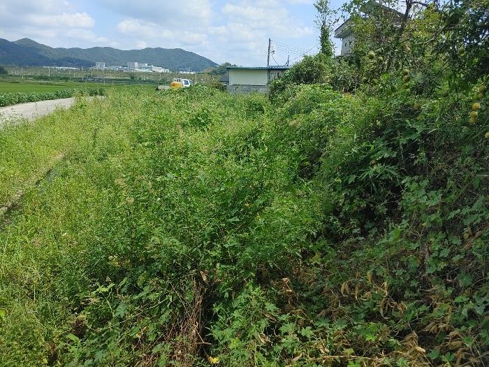 경상남도 밀양시 하남읍 수산리 567-4 법원경매 물건 대표사진