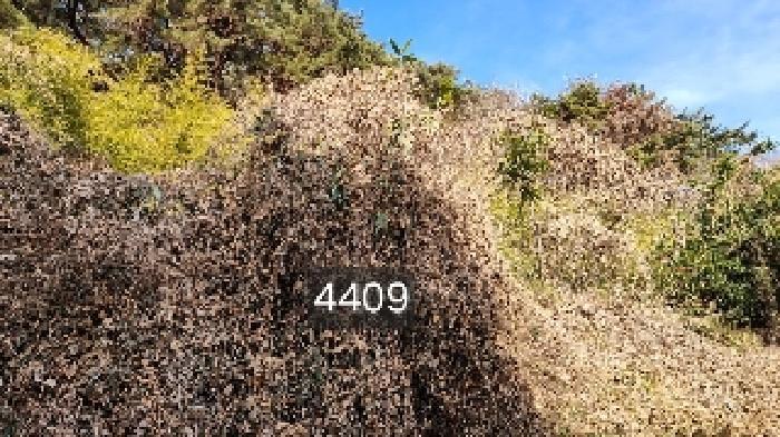 법원경매 2025타경4409 사진3 | 부산 기장군 철마면 구칠리 임야 경매