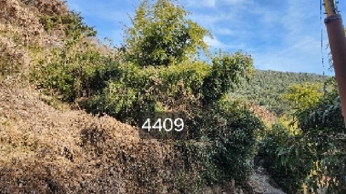 법원경매 2025타경4409 사진4 | 부산 기장군 철마면 구칠리 임야 경매