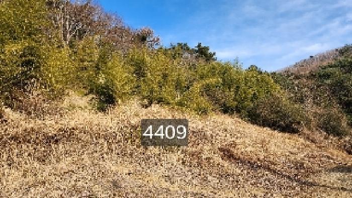 법원경매 2025타경4409 사진5 | 부산 기장군 철마면 구칠리 임야 경매