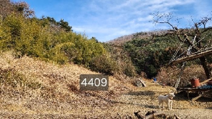 법원경매 2025타경4409 사진6 | 부산 기장군 철마면 구칠리 임야 경매