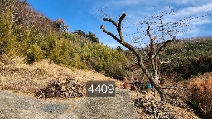 법원경매 2025타경4409 사진7 | 부산 기장군 철마면 구칠리 임야 경매