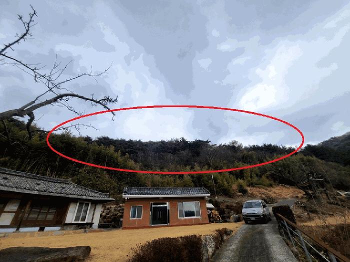 법원경매 2025타경4409 사진8 | 부산 기장군 철마면 구칠리 임야 경매