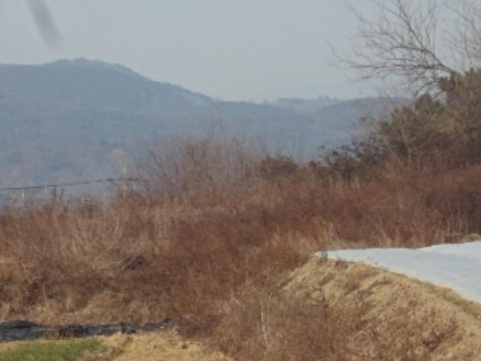 법원경매 2024타경13369 사진16 | 창녕군 대지면 본초리 871-6 대지 경매