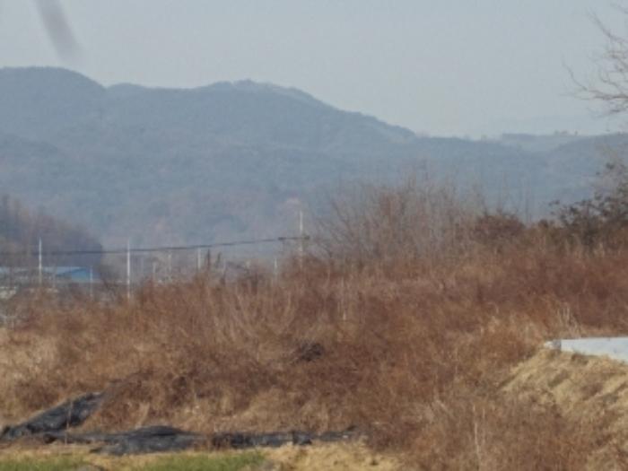 법원경매 2024타경13369 사진17 | 창녕군 대지면 본초리 871-6 대지 경매