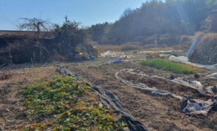 2024타경13390 법원경매 사진2 | 경남 창녕군 대지 경매