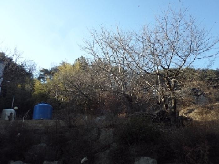 2025타경131 법원경매 사진10 | 경남 창녕군 답 경매