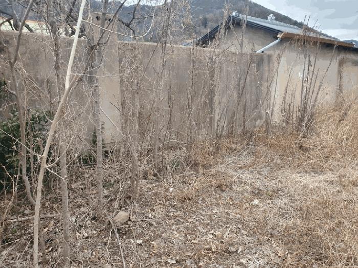 2025타경223 법원경매 사진2 | 경남 창녕군 대지 경매