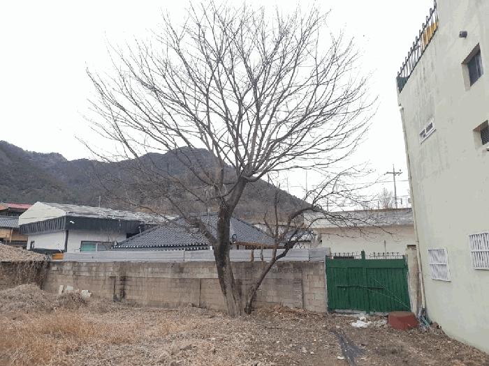 2025타경223 법원경매 사진6 | 경남 창녕군 대지 경매